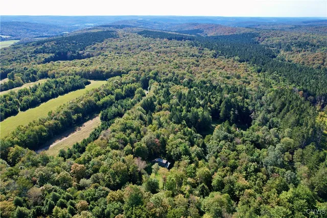 $60,000 | 164 Husted Road, Lincklaen, NY 13155