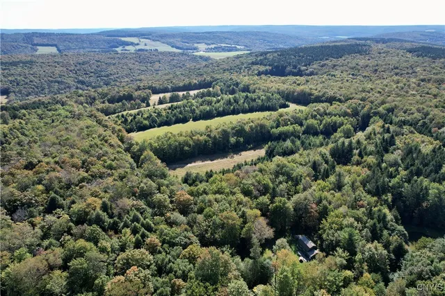 $60,000 | 164 Husted Road, Lincklaen, NY 13155