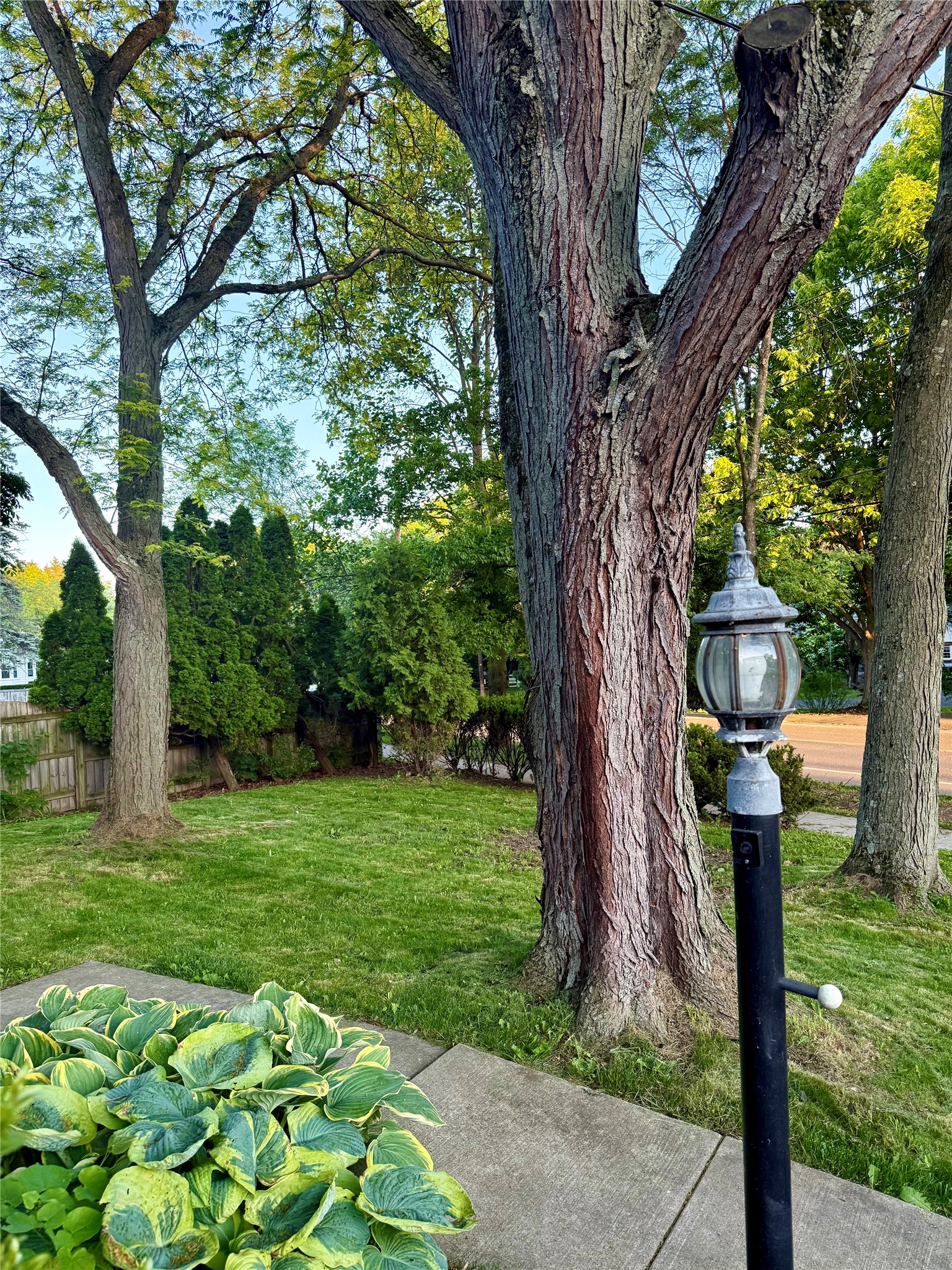 232 Riverside Drive Binghamton, NY 13905 - Photo 5 of 43