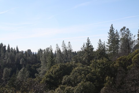 13618 Fern Road East Whitmore, CA 96096 - Photo 36 of 39 Western view from area back of home