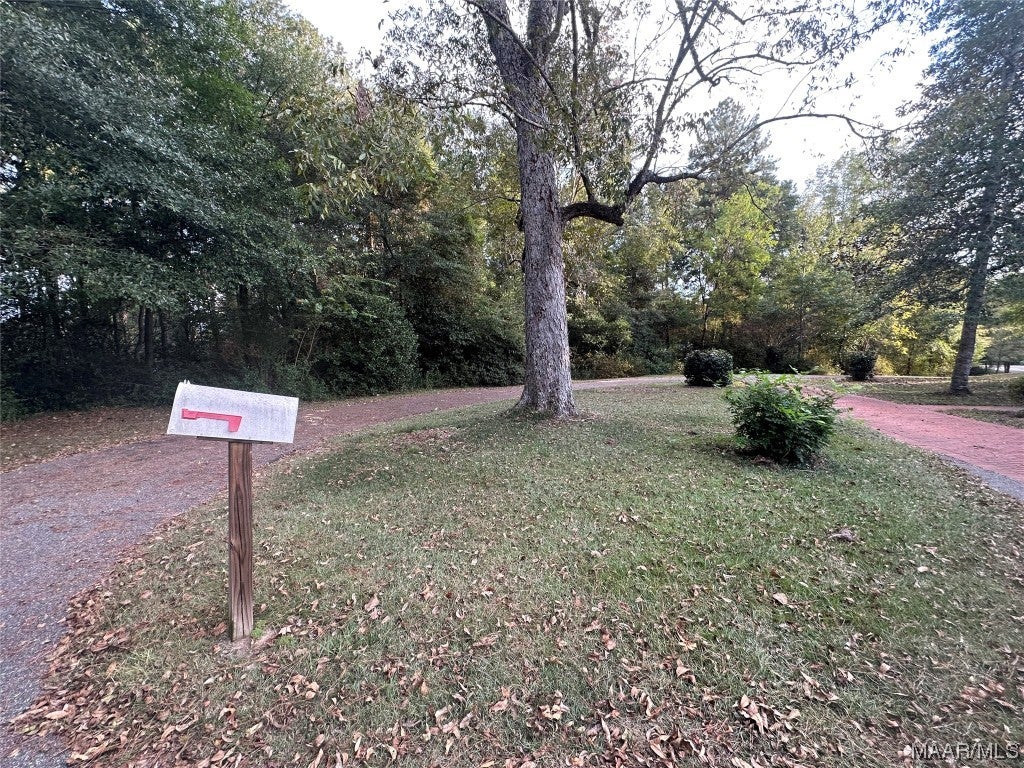 314 R Street Evergreen, AL 36401 - Photo 15 of 59 Gallery Image 15
