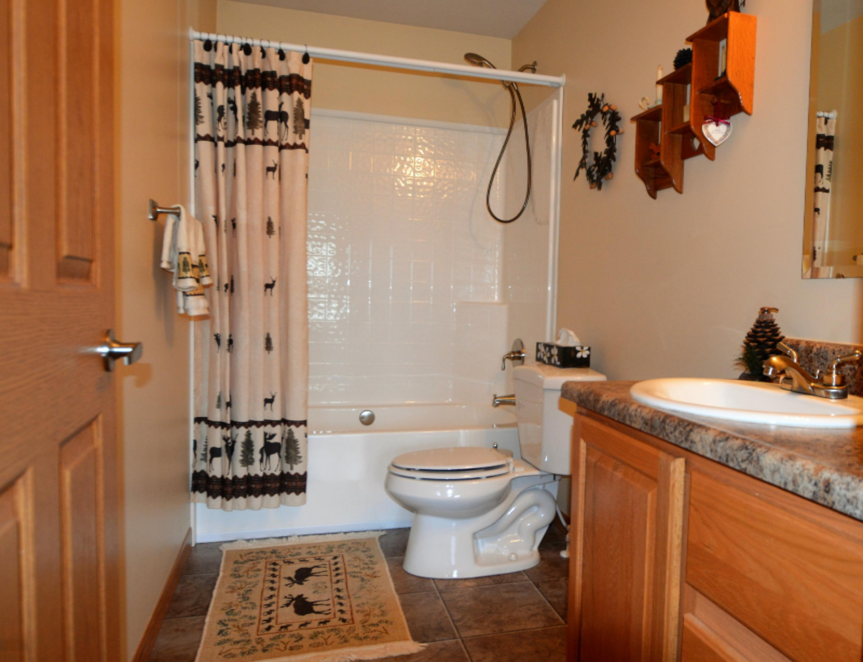 97 Barker Road Ionia, MI 48846 - Photo 23 of 30 DSC_0024