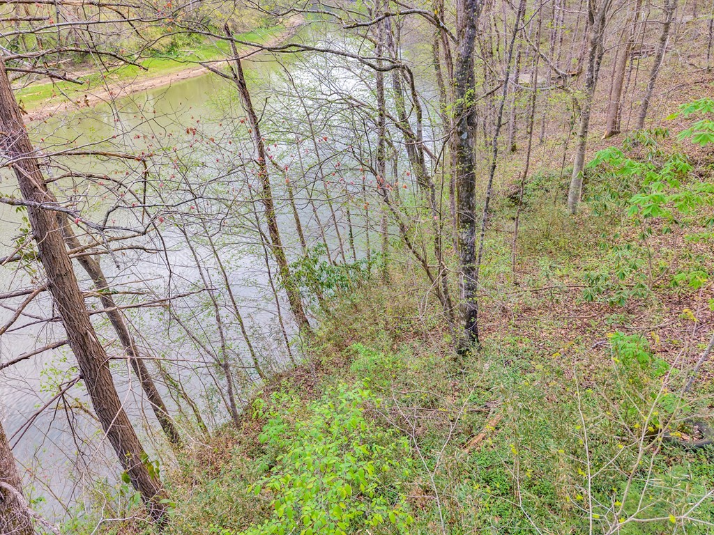 0 Lawson Road Sparta, TN 38583 - Photo 5 of 21 Gallery Image 5