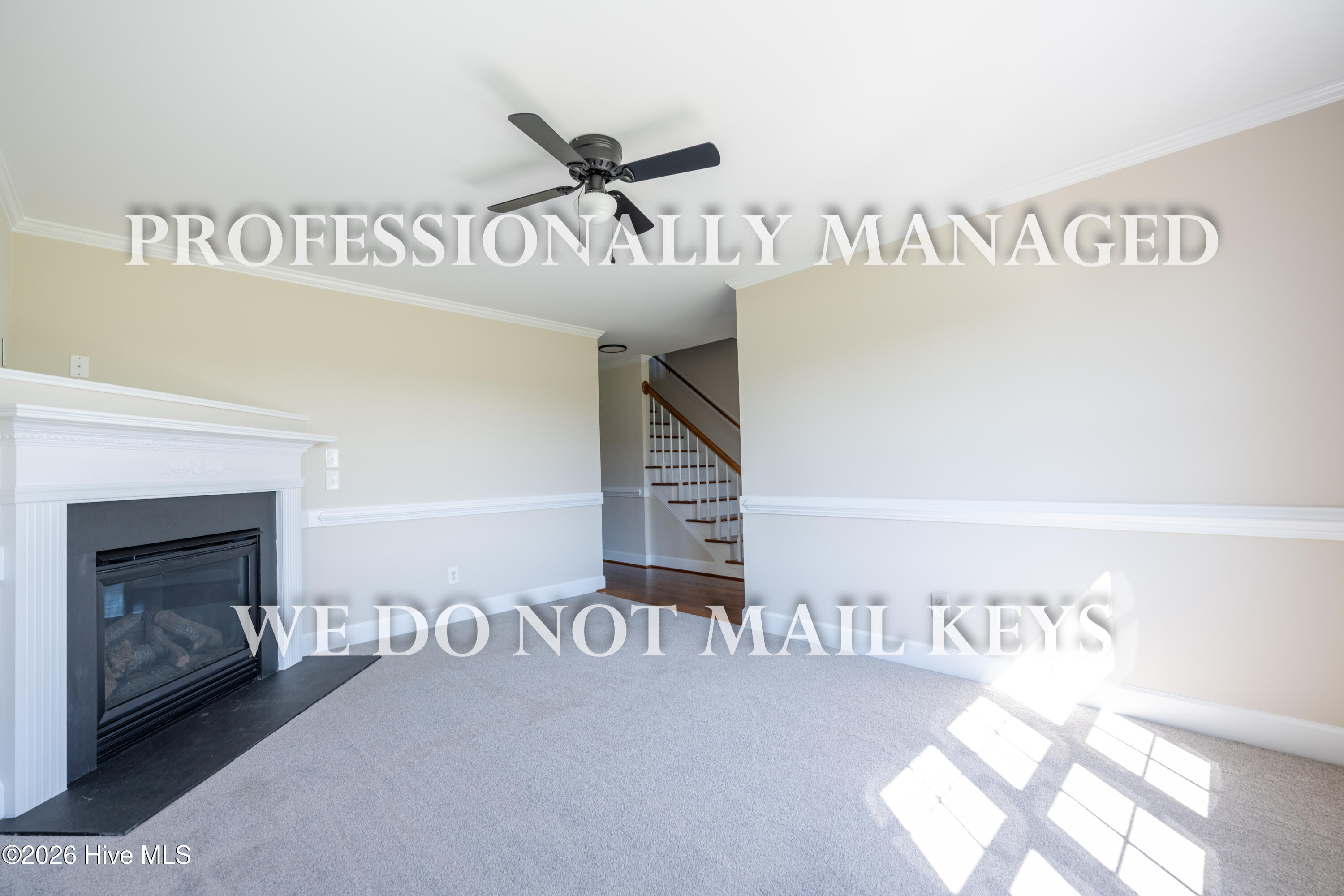 4447 Wollett Mill Road Battleboro, NC 27809 - Photo 8 of 39 Gallery Image 8