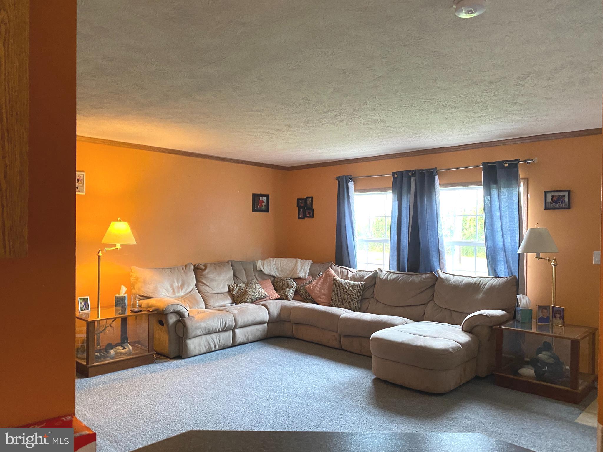23381 Ninetown Road Ridgely, MD 21660 - Photo 2 of 21 Huge Living room