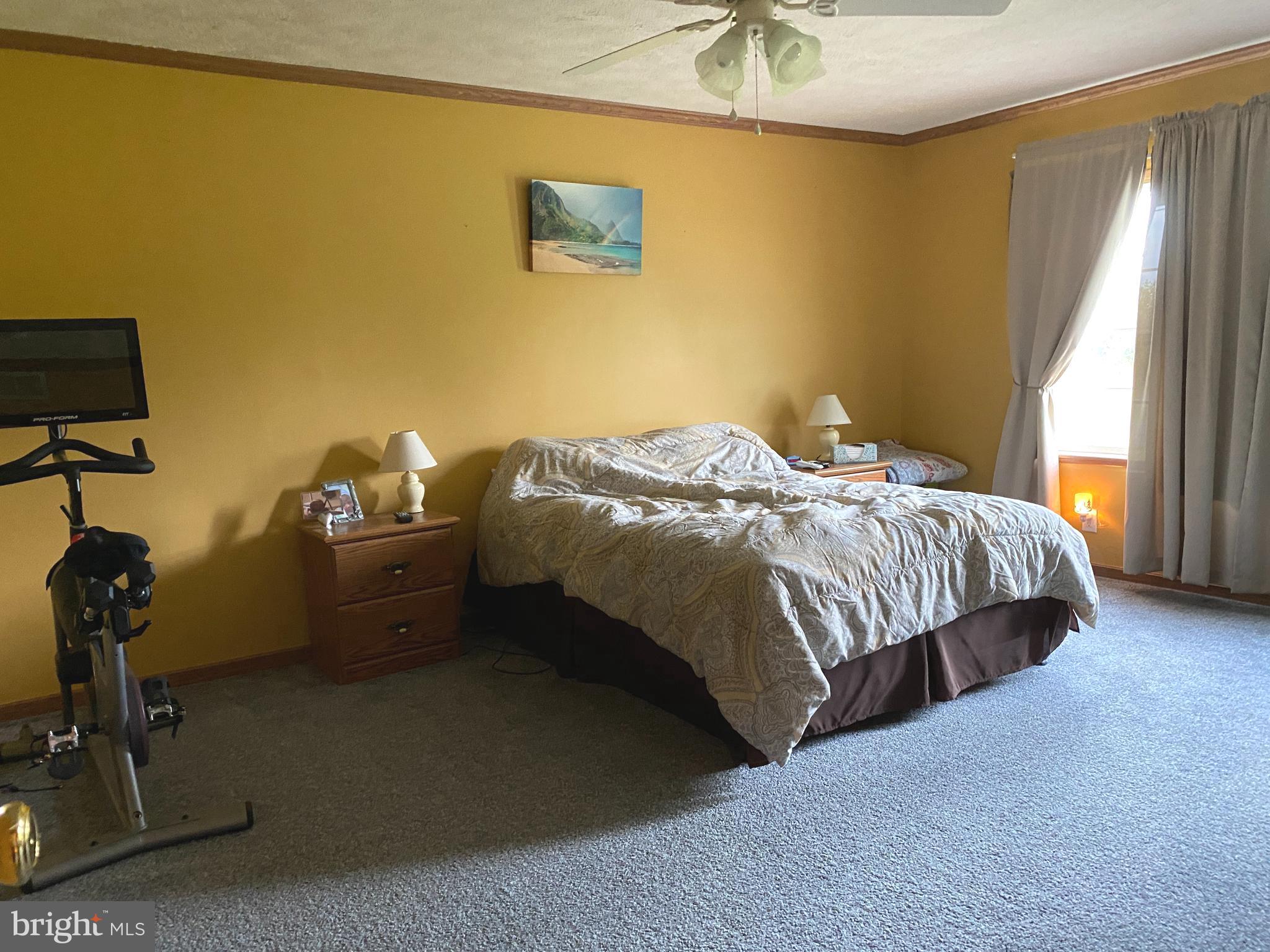 23381 Ninetown Road Ridgely, MD 21660 - Photo 10 of 21 Master bedroom
