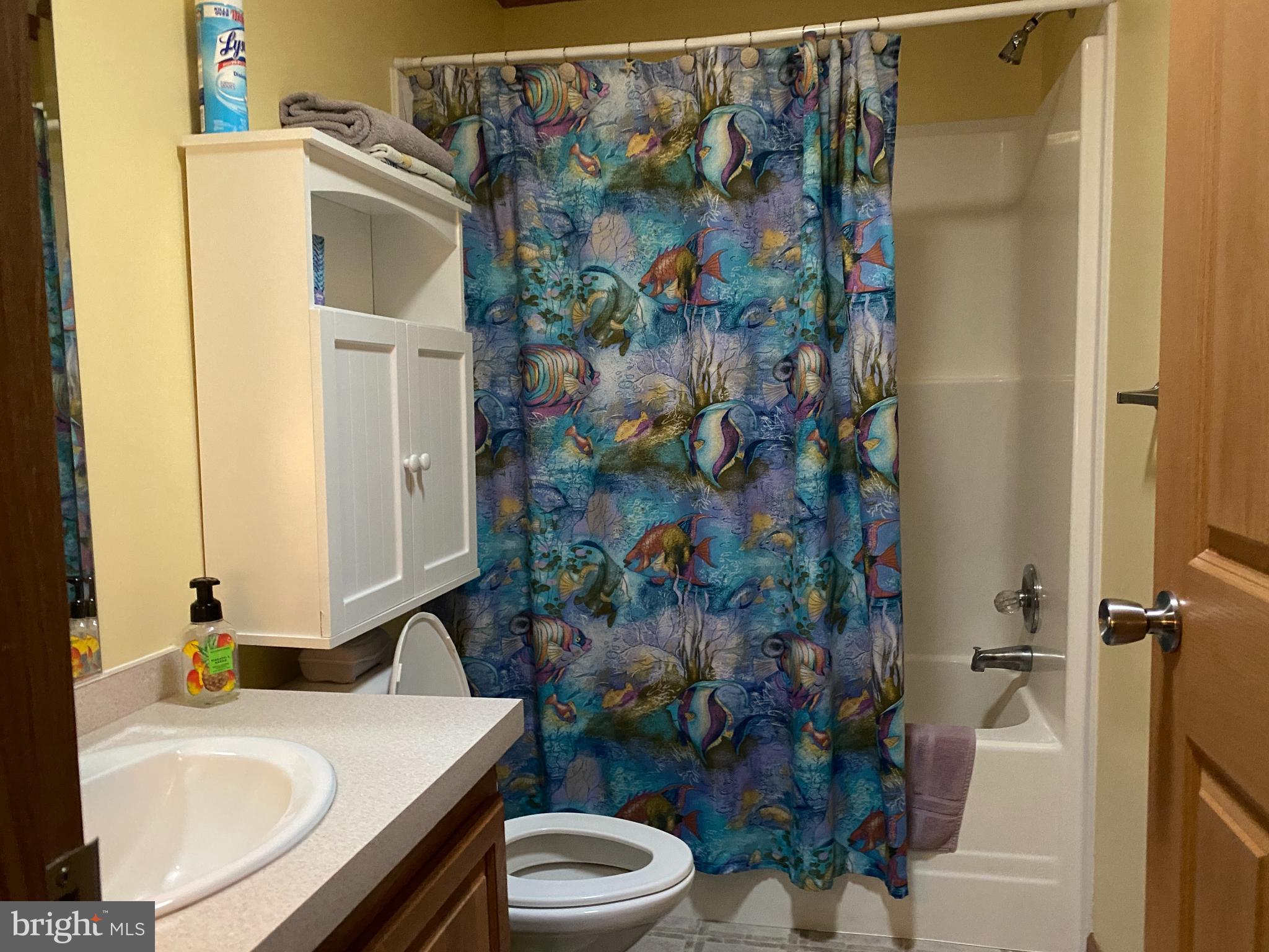23381 Ninetown Road Ridgely, MD 21660 - Photo 17 of 21 Bath