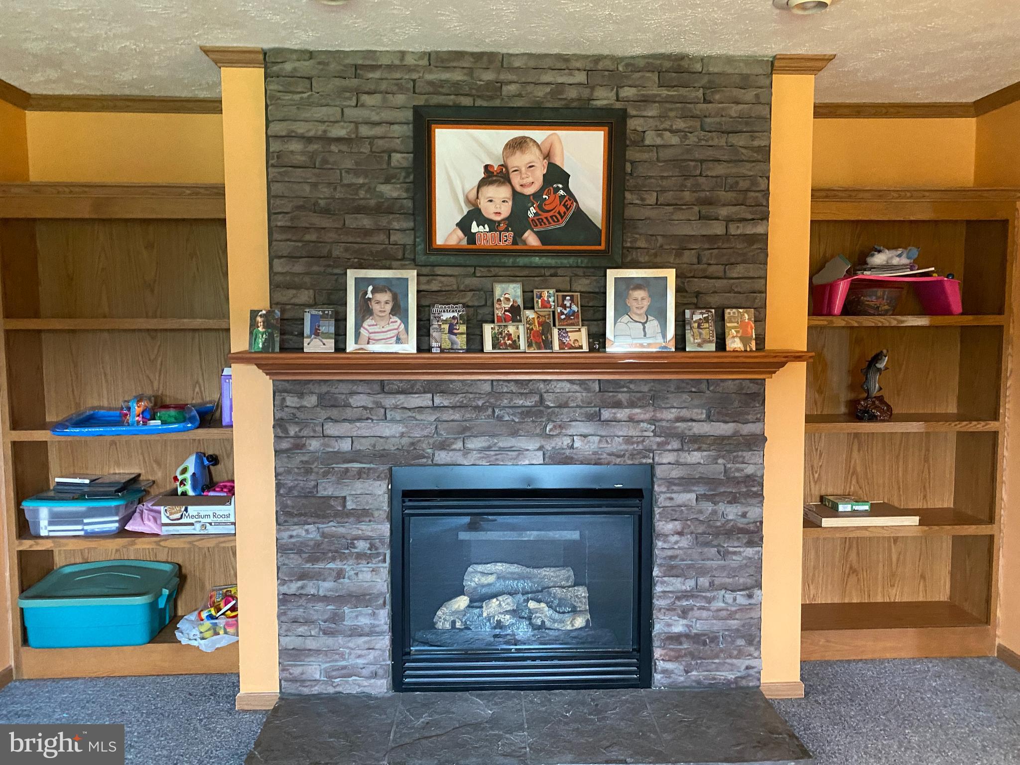 23381 Ninetown Road Ridgely, MD 21660 - Photo 5 of 21 Gas Fireplace