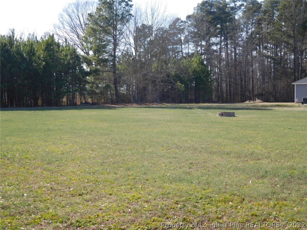 1282 Golf Course Road Raeford, NC 28376 - Photo 28 of 28 Gallery Image 28