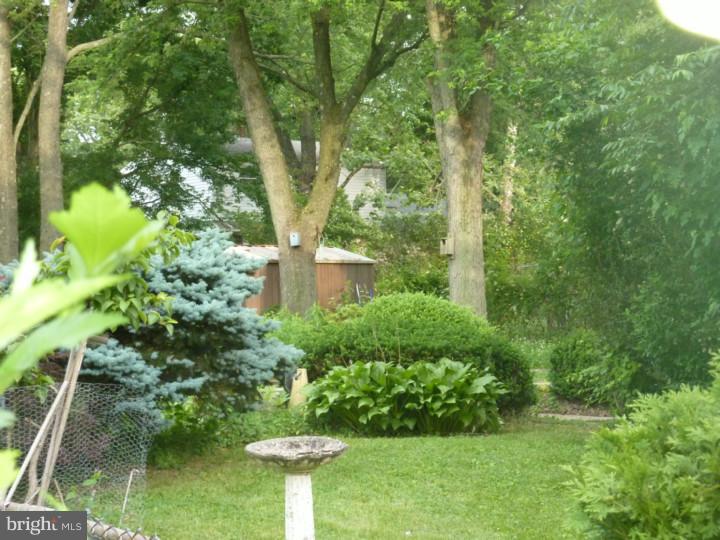 501 East Evesham Road Voorhees, NJ 08043 - Photo 3 of 19 Back Yard