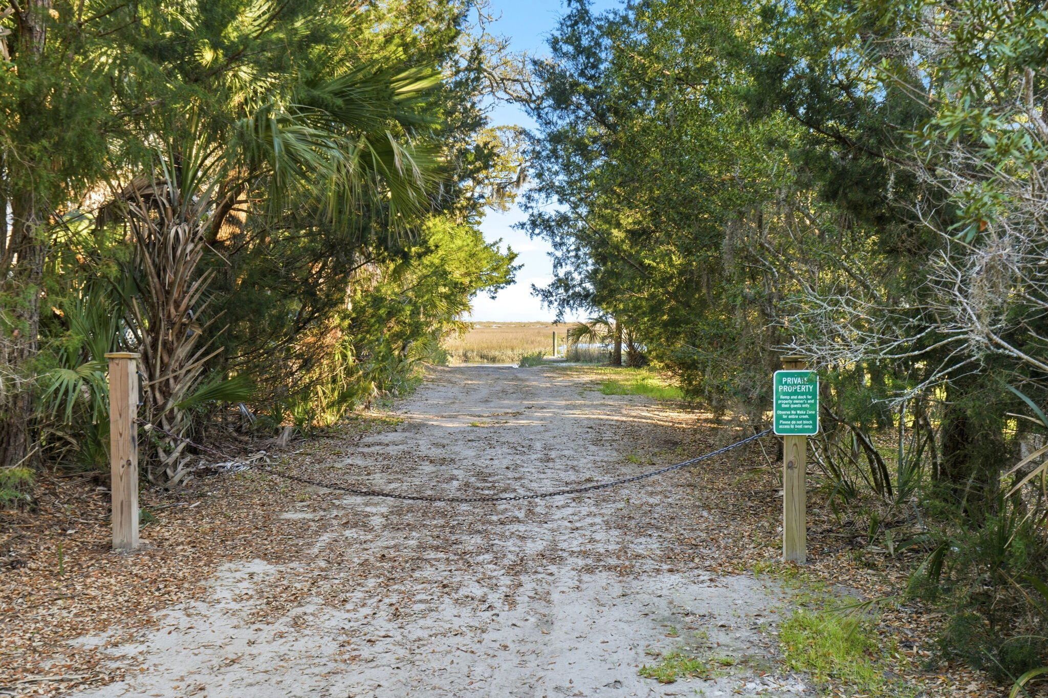 0 Hammocks Way Edisto Island, SC 29438 - Photo 16 of 40 61-web-or-mls-005_DSC06790