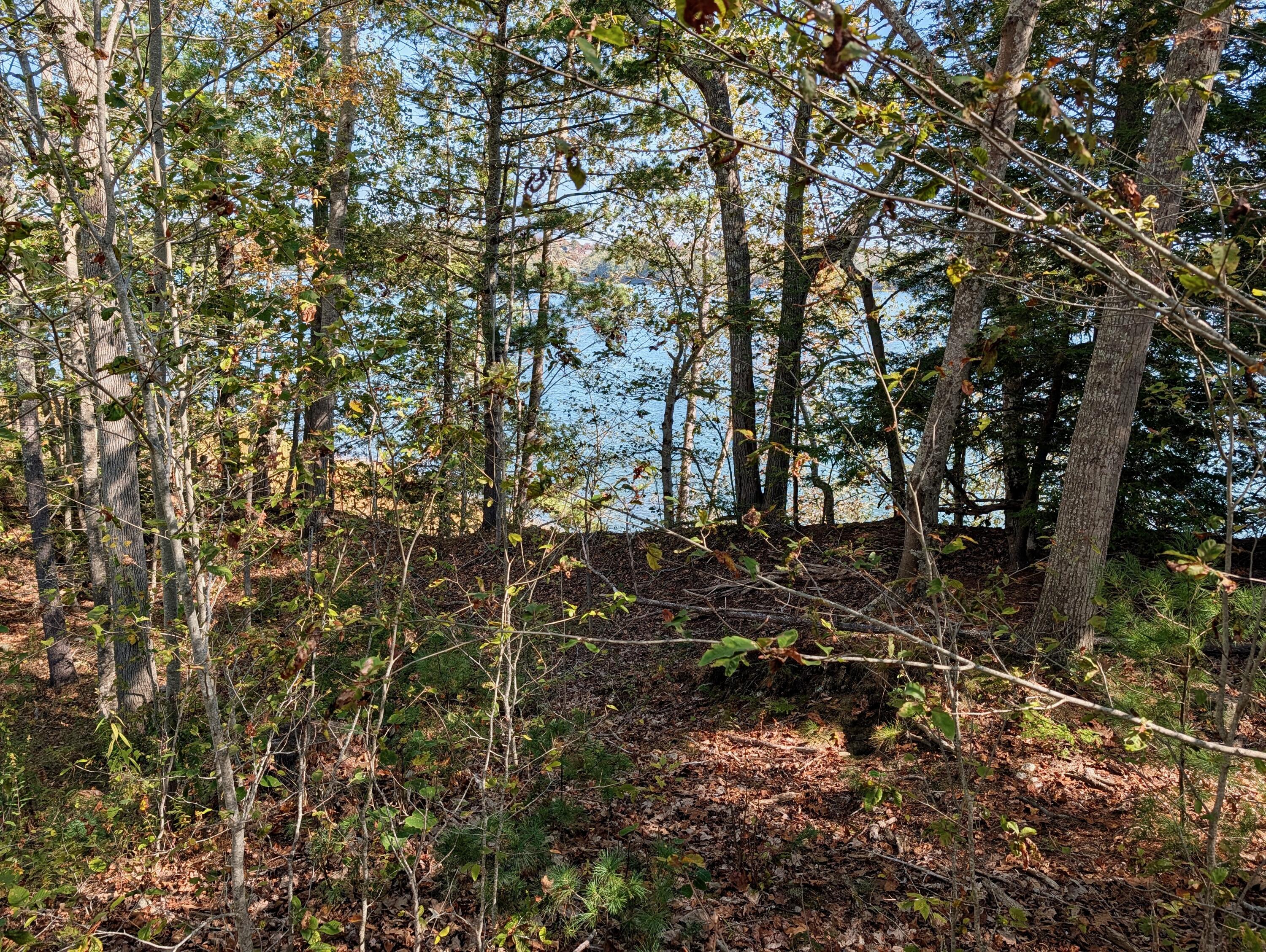Lot 003905 White Road Newcastle, ME 04553 - Photo 16 of 17 PXL_20251006_170831899