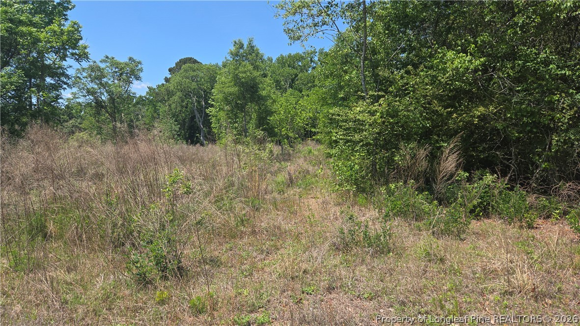 1634 Sweetie Road Fayetteville, NC 28312 - Photo 7 of 26