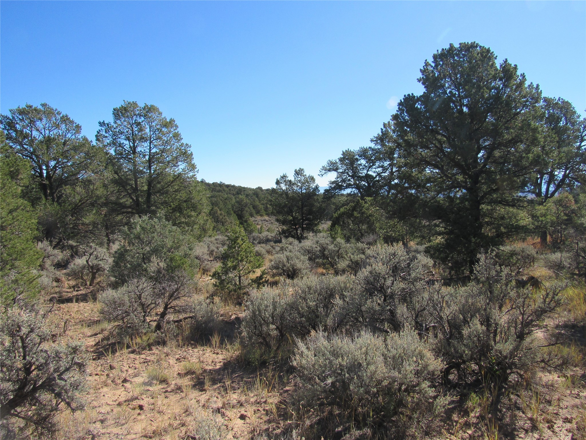 Lot 57 Servilleta Carson, NM 87517 - Photo 9 of 10