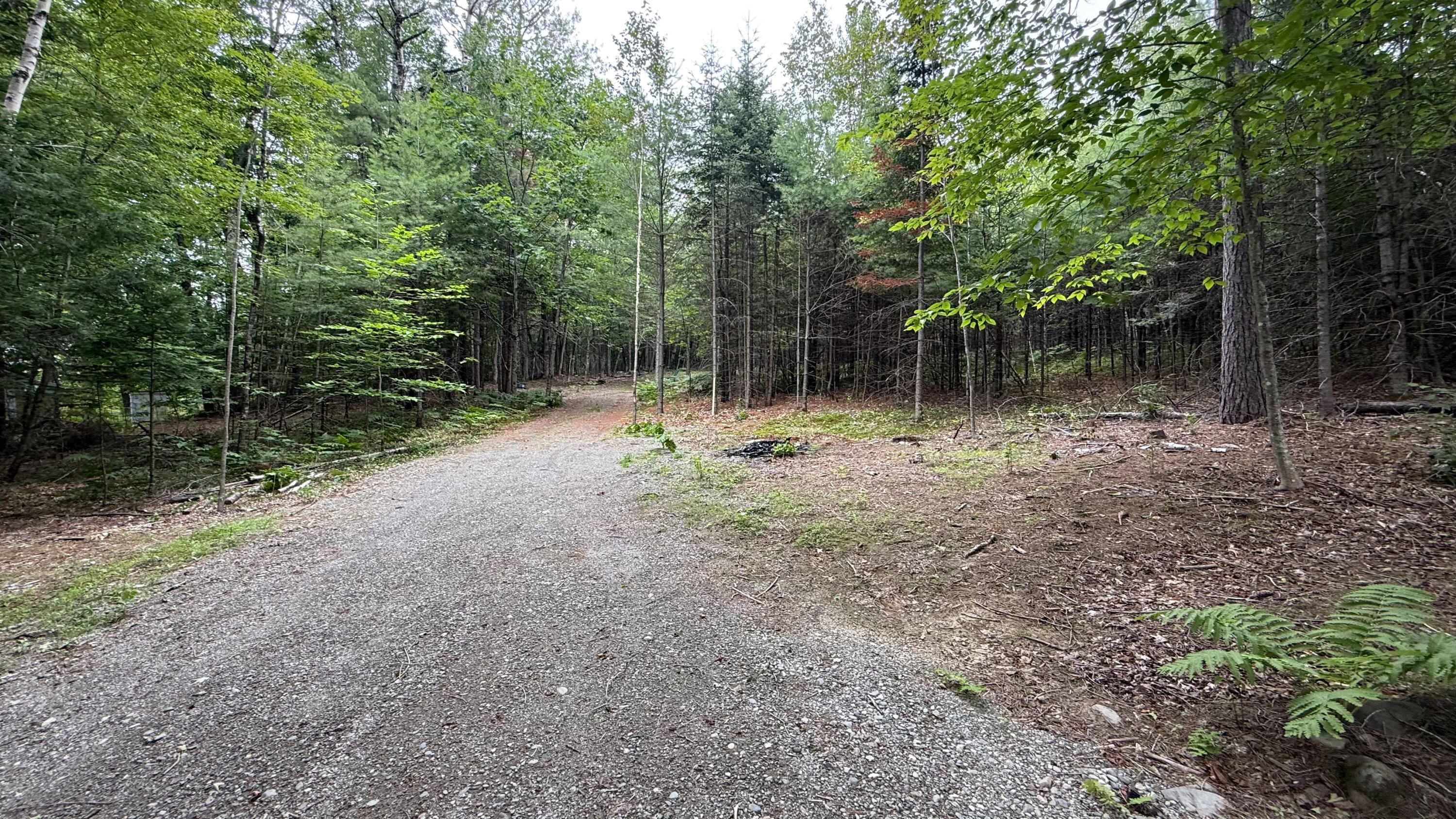 50 Glass Hill Road Guilford, ME 04443 - Photo 106 of 112 IMG_E3649