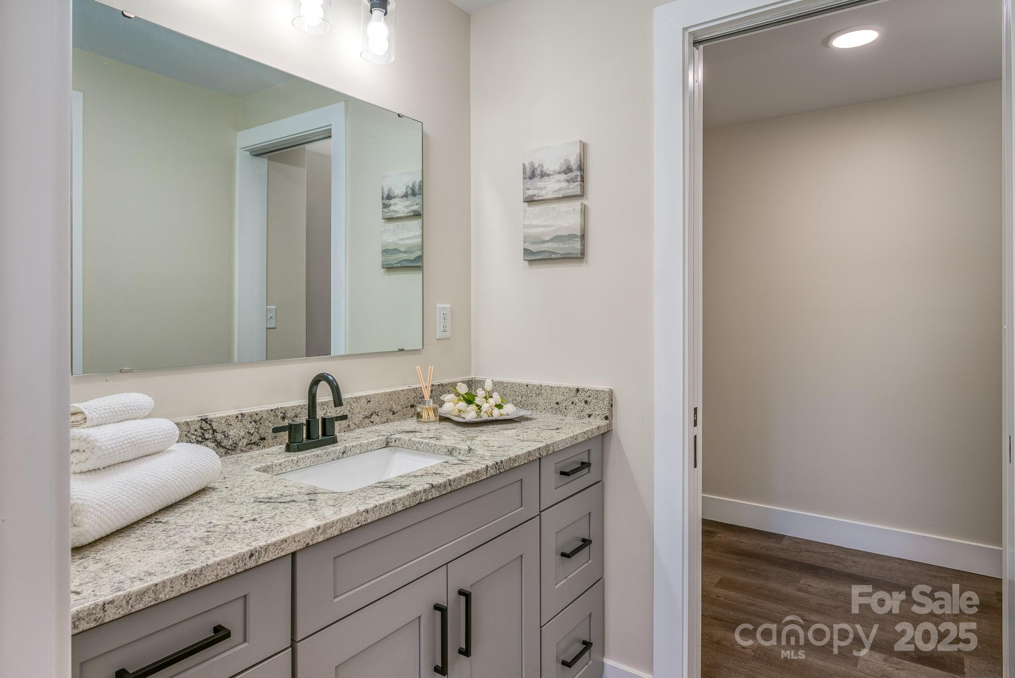 143 Carver Street, Unit 7 Brevard, NC 28712 - Photo 20 of 28 a bathroom with a granite countertop sink and a mirror