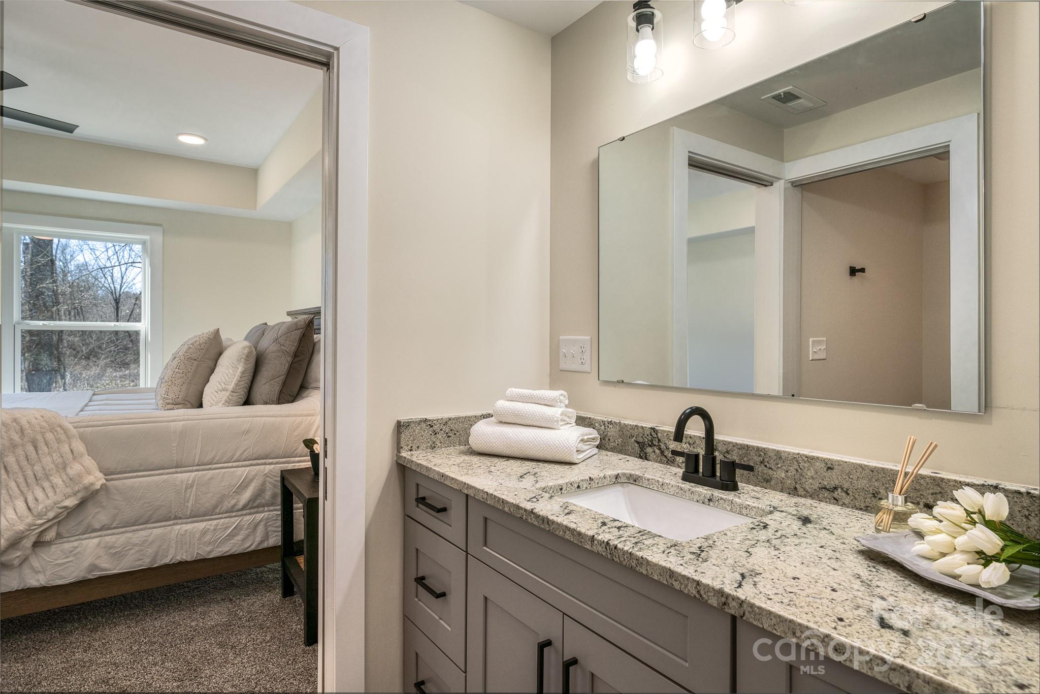 143 Carver Street, Unit 7 Brevard, NC 28712 - Photo 7 of 28 a en suite bathroom with a granite countertop sink and mirror
