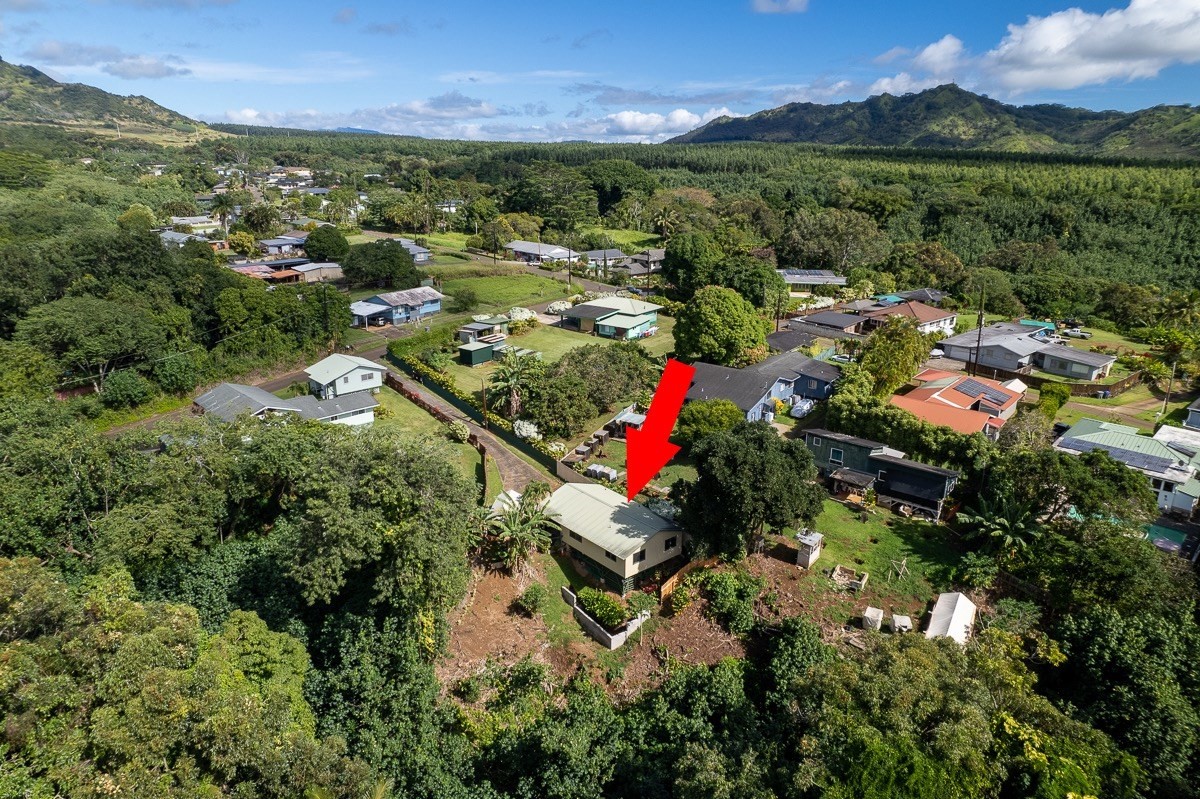 a view of a city with mountains in the background
