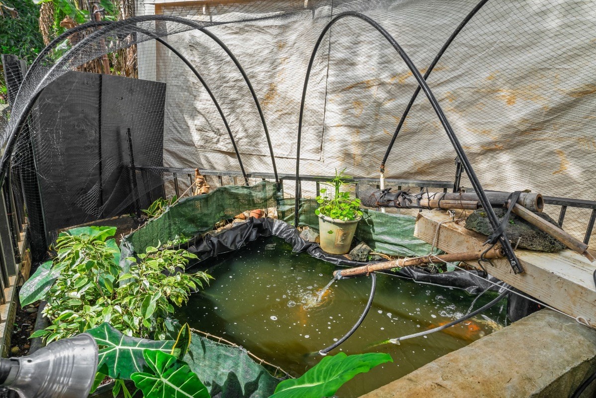 4430 Eke Road Koloa, HI 96756 - Photo 20 of 25 a view of yard with table and chairs