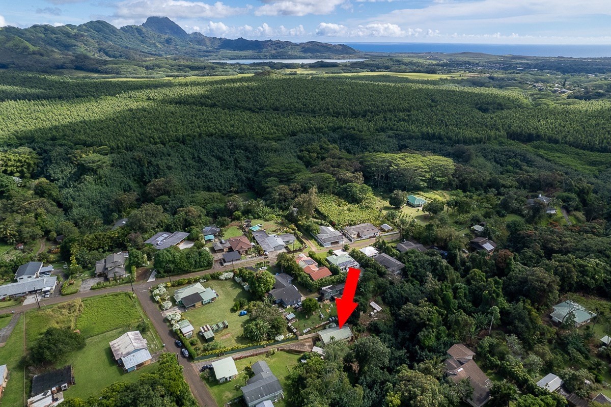 4430 Eke Road Koloa, HI 96756 - Photo 2 of 25 a view of a lush green forest with a houses