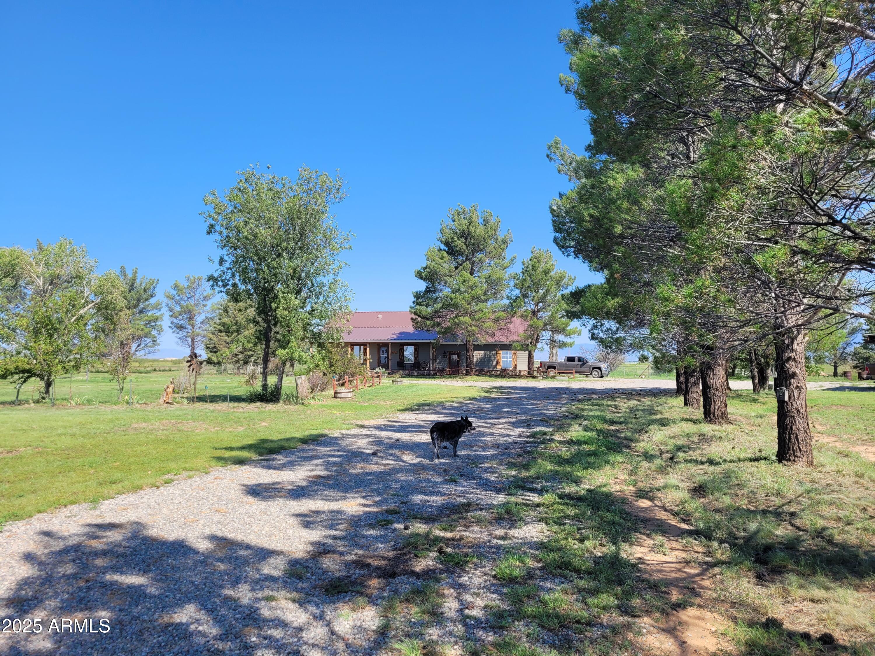 8255 North Fort Grant Road Willcox, AZ 85643 - Photo 17 of 40 a view of a park with large trees
