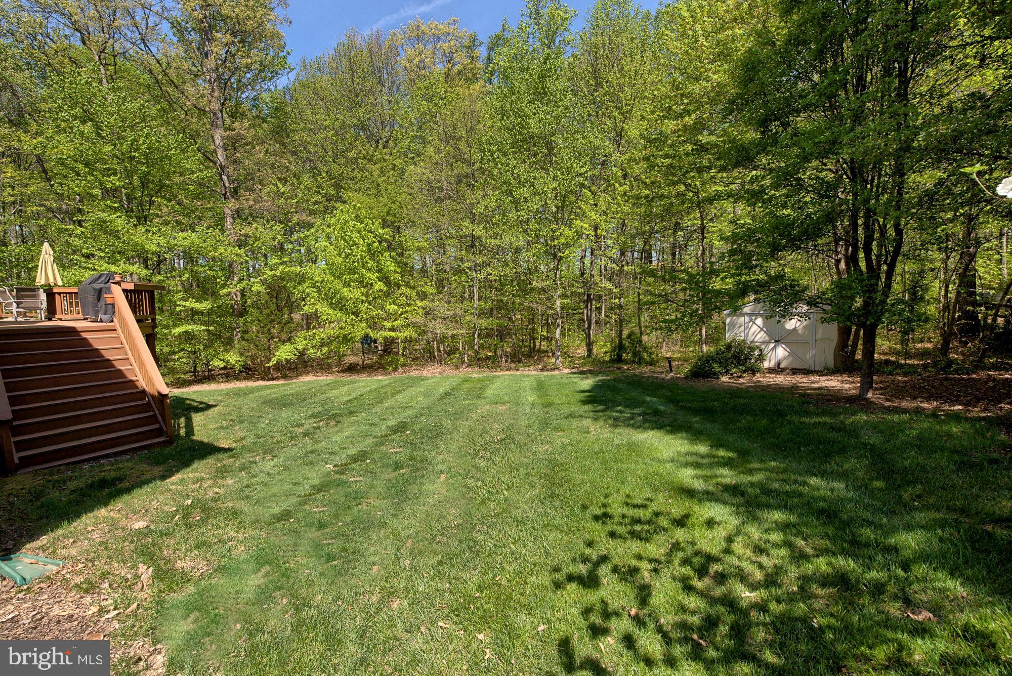 21 Hackett Court Poolesville, MD 20837 - Photo 9 of 89 Flat and level backyard