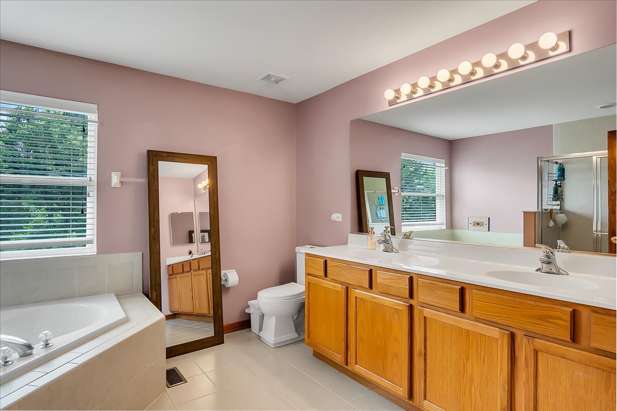 255 Hampton Road Sugar Grove, IL 60554 - Photo 12 of 28 a bathroom with a tub sink and mirror