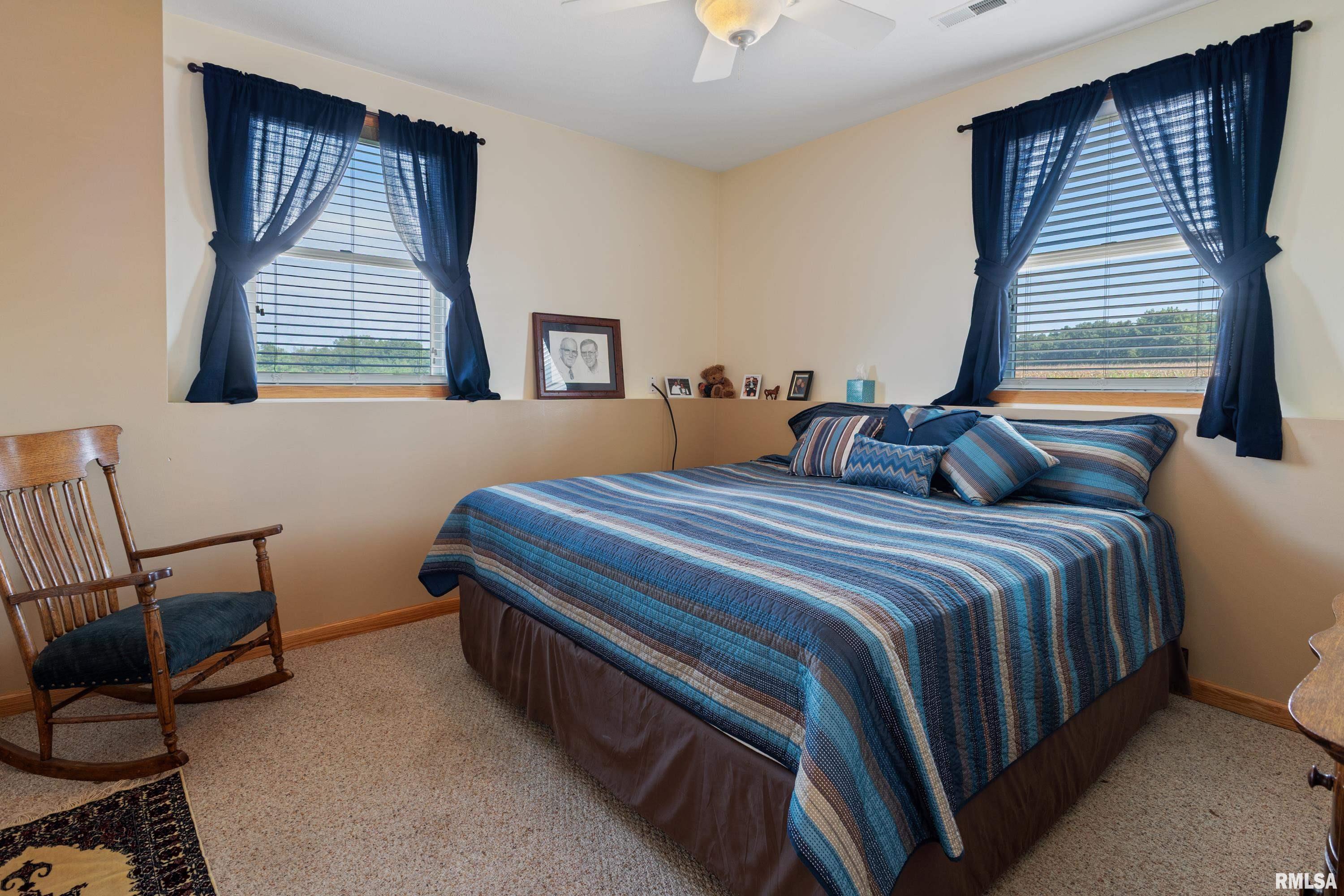 702 East 3000th Street Liberty, IL 62347 - Photo 28 of 42