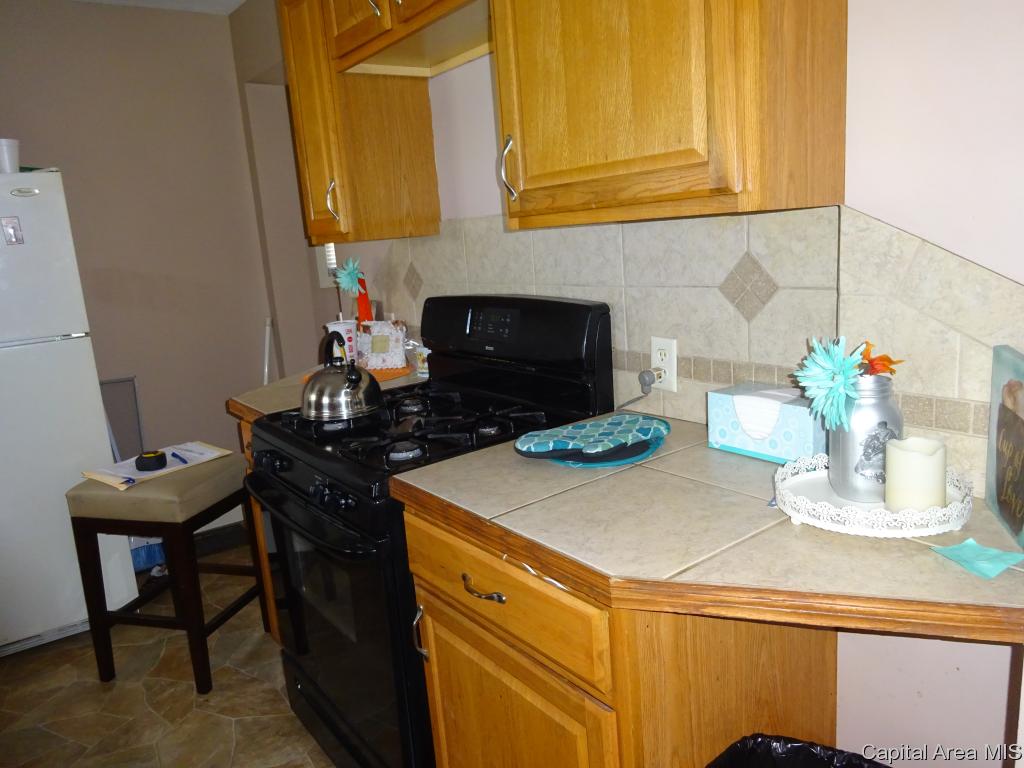 1845 South 13th Street Springfield, IL 62703 - Photo 15 of 32