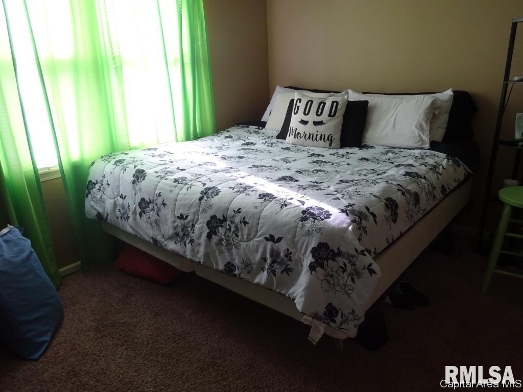 1845 South 13th Street Springfield, IL 62703 - Photo 20 of 32