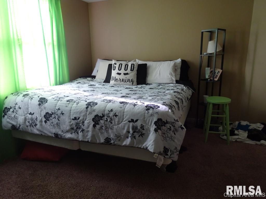 1845 South 13th Street Springfield, IL 62703 - Photo 21 of 32