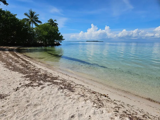 a view of a lake view