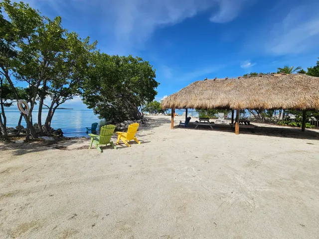 a view of a yard with wooden fence