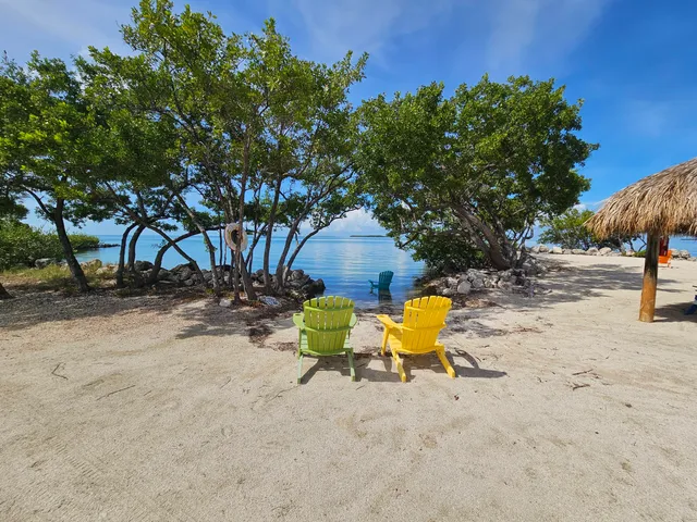 a view of a tree with a tree