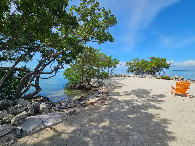 a view of a lake view