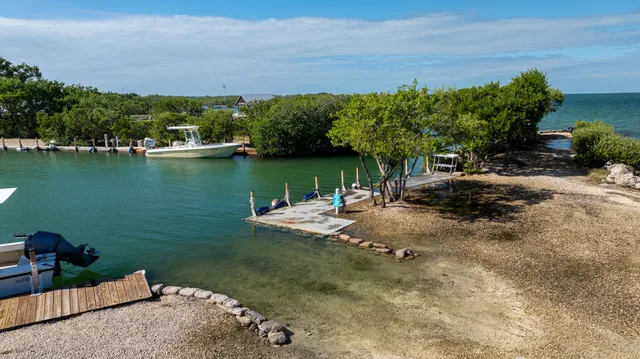 a view of a yard with plants and trees