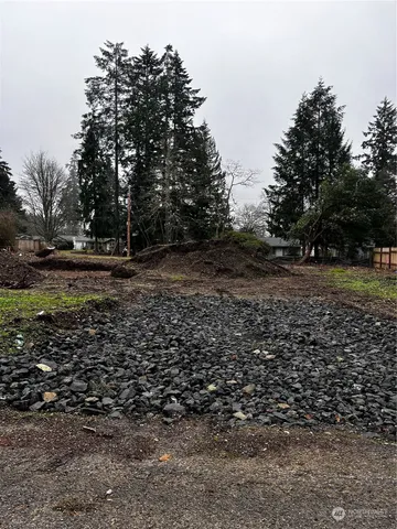 a view of a yard with plants