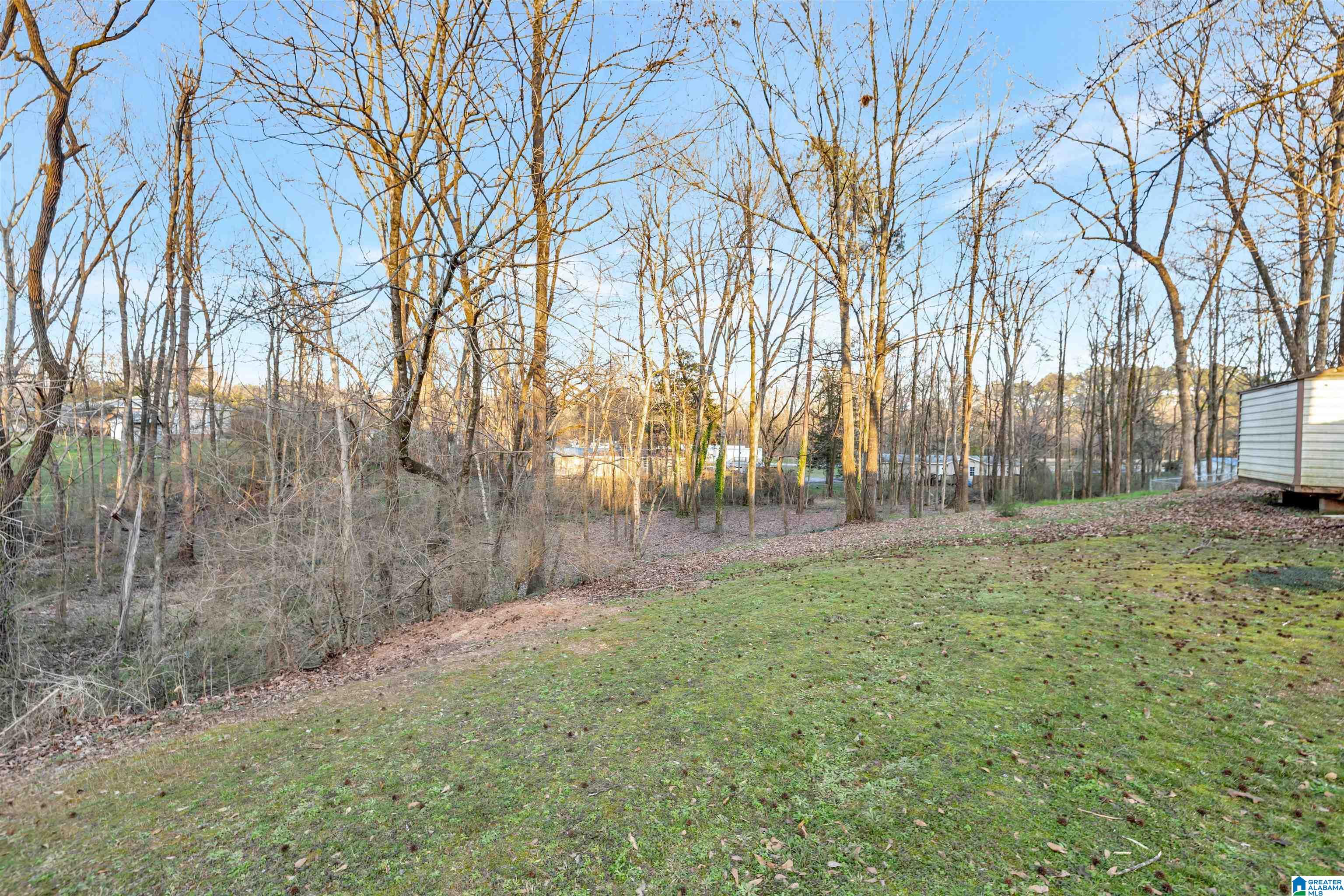 17 South Forty Road Alabaster, AL 35007 - Photo 38 of 39 Gallery Image 38