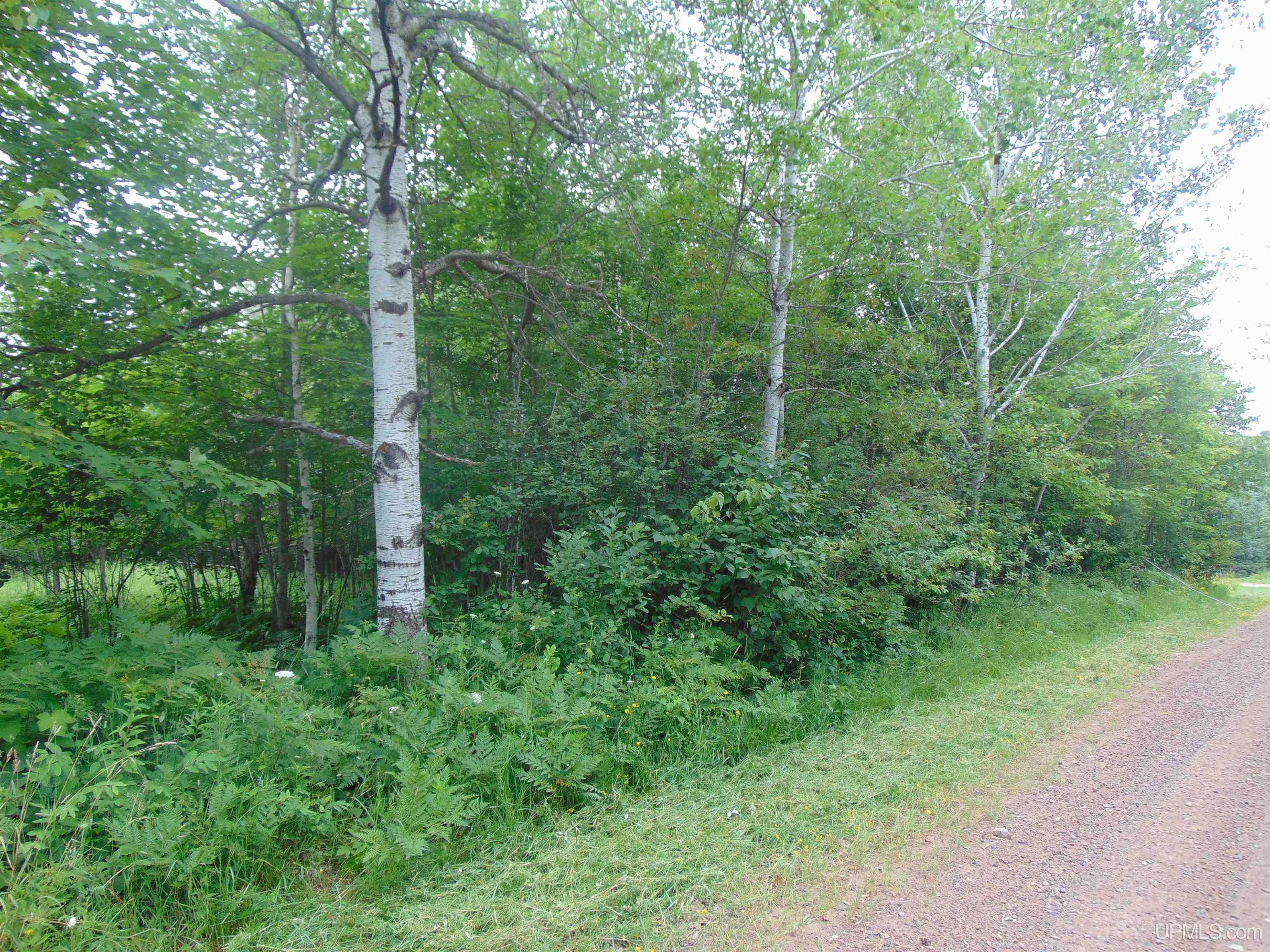 15 Grenlund Road Bruce Crossing, MI 49912 - Photo 18 of 18