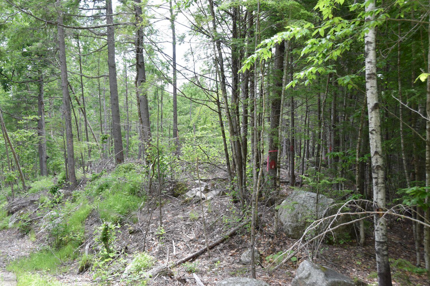M13-l44 Valley Road Raymond, ME 04071 - Photo 13 of 20 DSC_0003