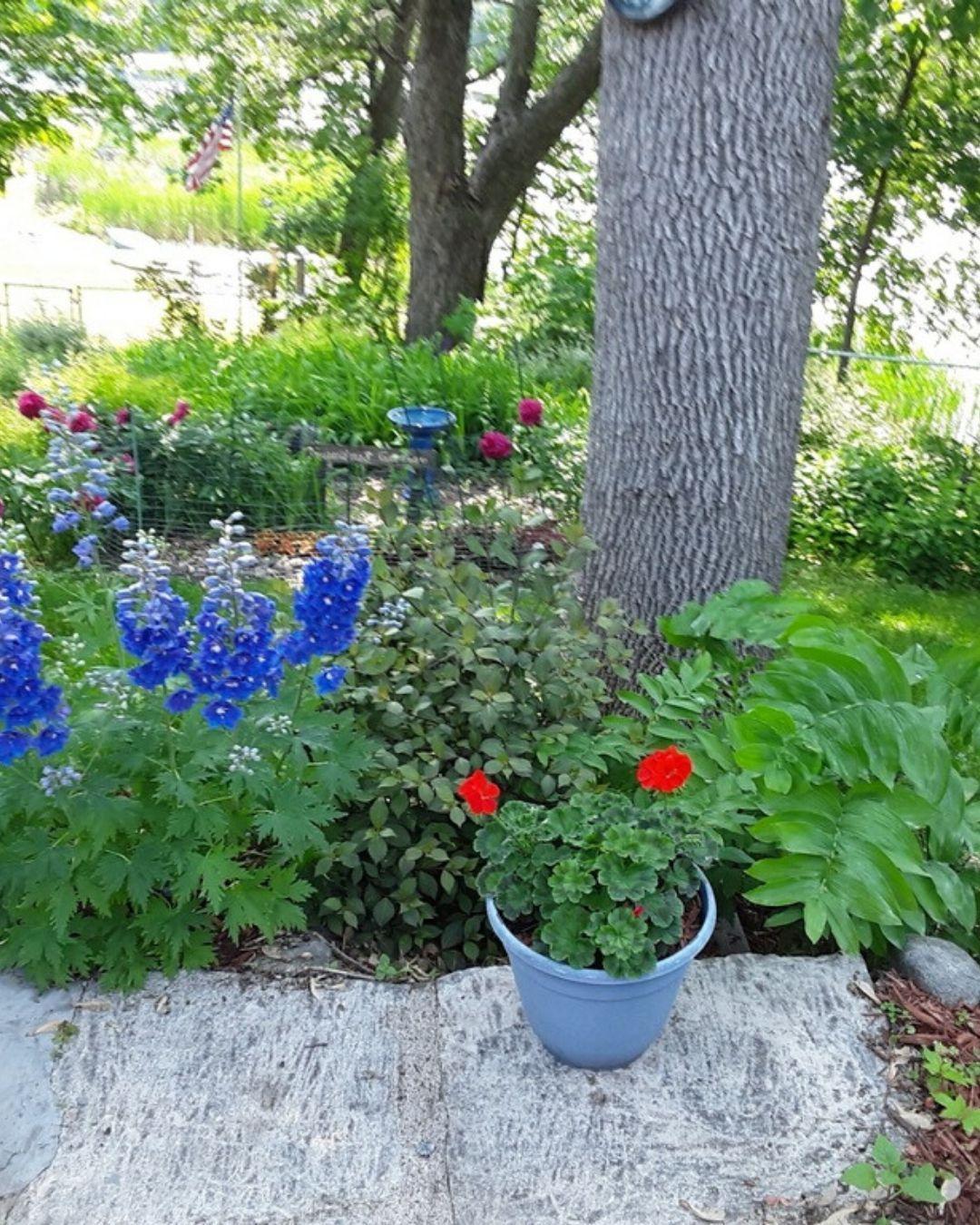 400 Mill Street Excelsior, MN 55331 - Photo 36 of 39