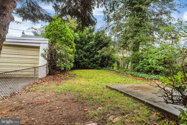 a view of a yard with plants and a trees