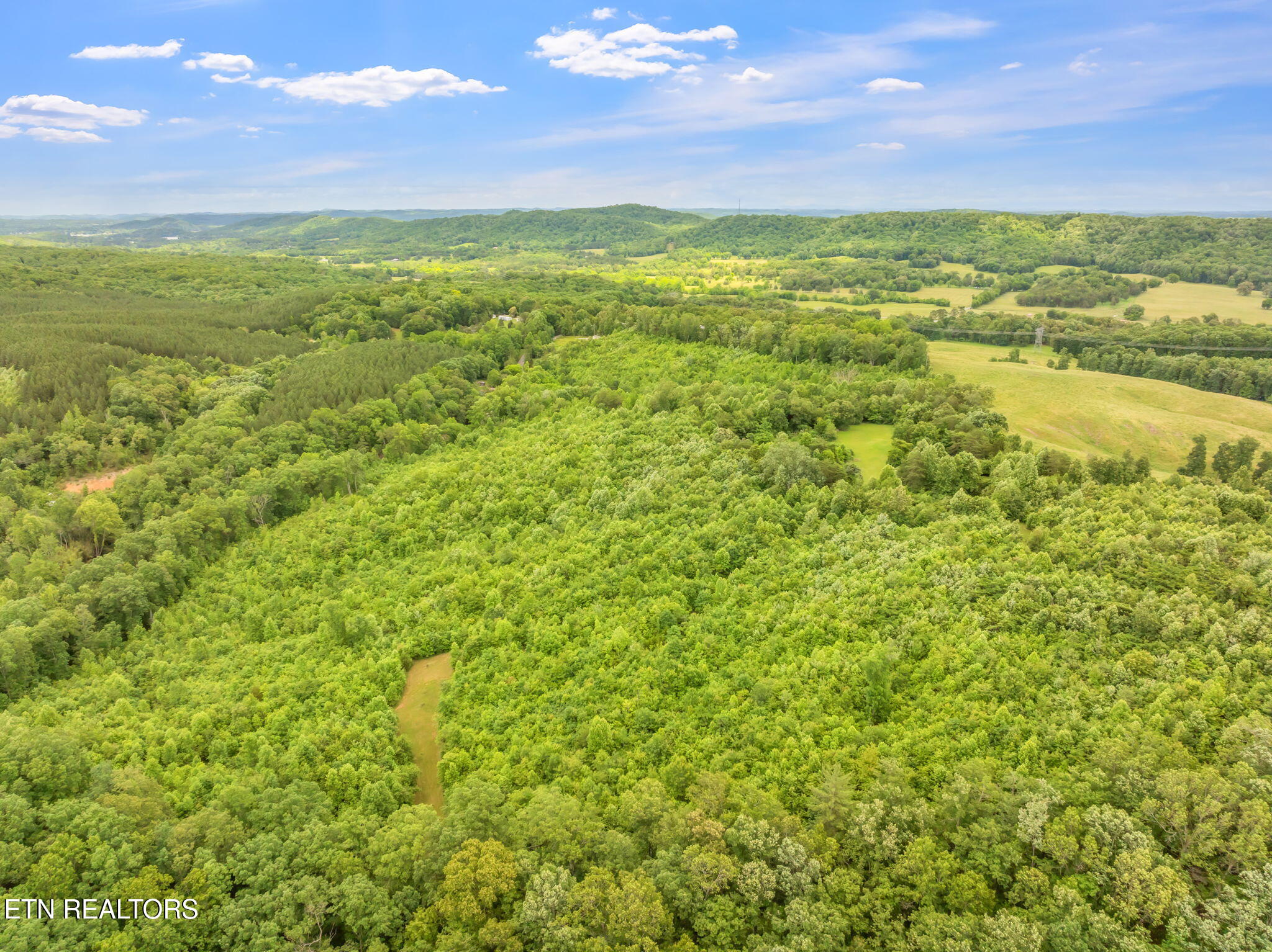 0 Grigsby Hollow Road Kingston, TN 37763 - Photo 28 of 34 19-web-or-mls-Grigsby Hollow Land-16
