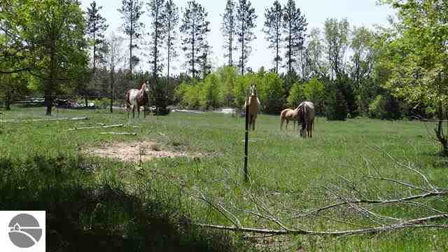 10683 17 Mile Road Cedar Springs, MI 49319 - Photo 35 of 44 1743098-34.JPG