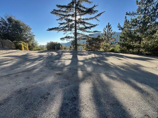 0 Howland Road Idyllwild, CA 92549 - Photo 16 of 16 a view of a yard with a trees