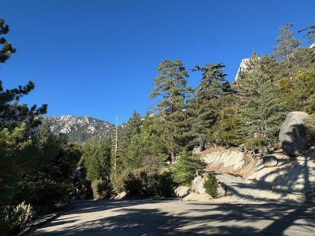 0 Howland Road Idyllwild, CA 92549 - Photo 10 of 16 a view of a tree with a yard