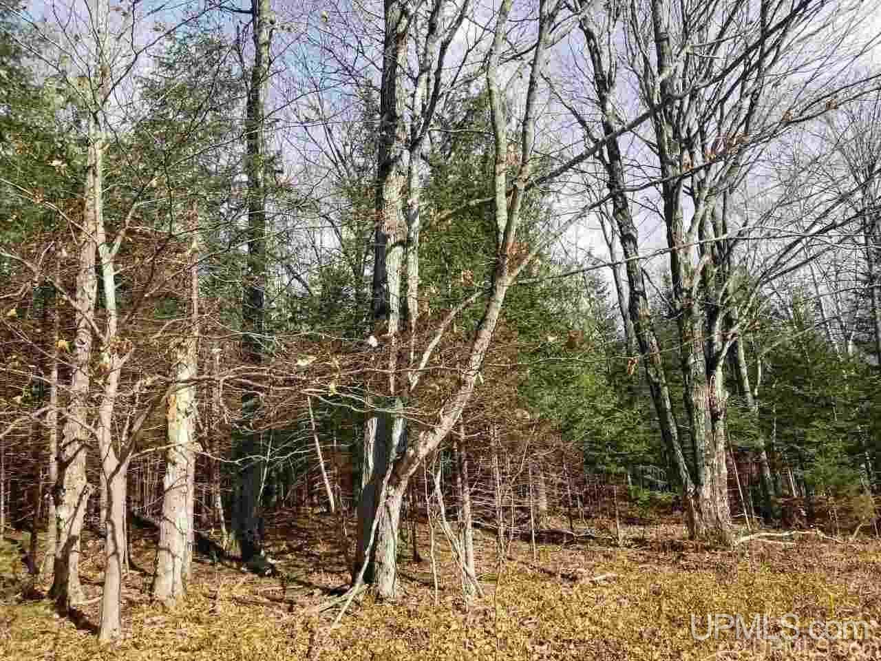 5218 River Road Manistique, MI 49854 - Photo 8 of 21 Gallery Image 8