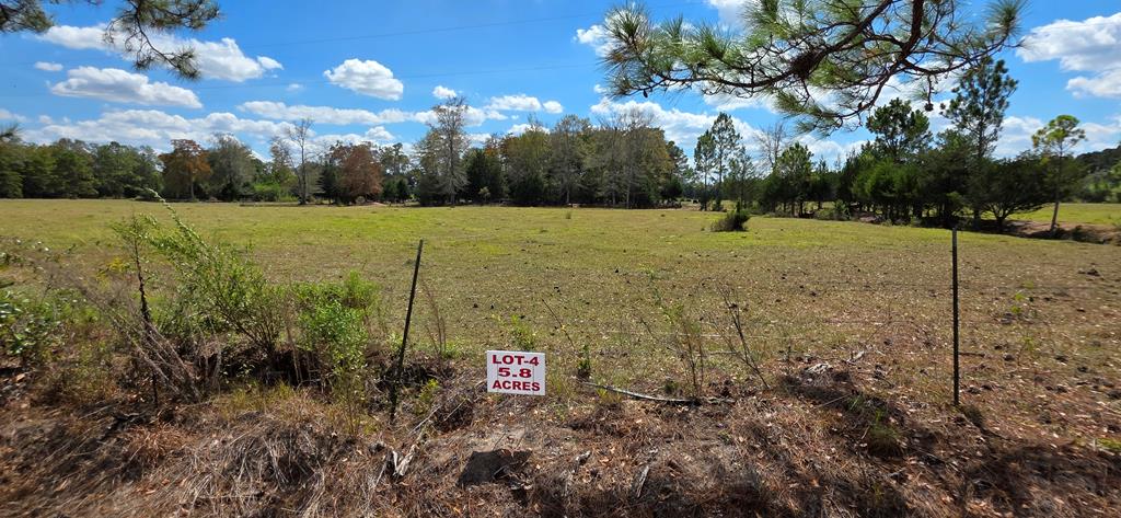 5.8-acres Nobles Road Cottonwood, AL 36320 - Photo 3 of 29