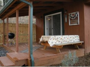 875 Ryan Road Chuckey, TN 37641 - Photo 14 of 24 Guest QuartersCovered Porch