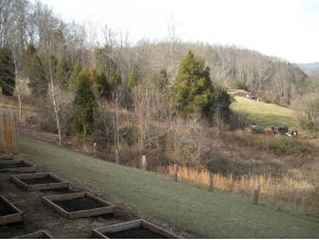 875 Ryan Road Chuckey, TN 37641 - Photo 5 of 24 Country Side